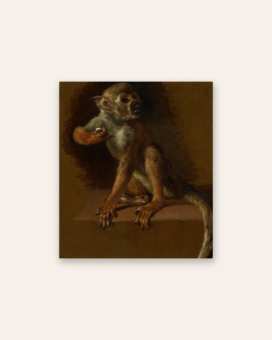 Jan Weenix - The Monkey