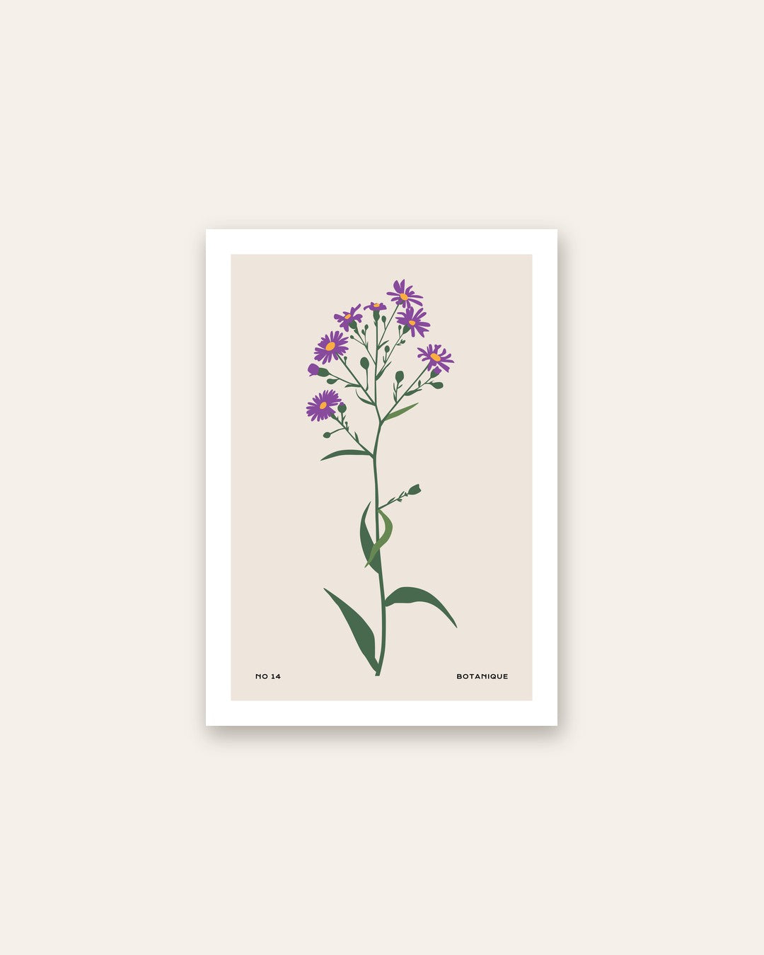 SENT Studio - Botanical Poster No. 6