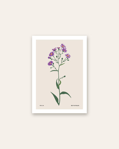 SENT Studio - Botanical Poster No. 6