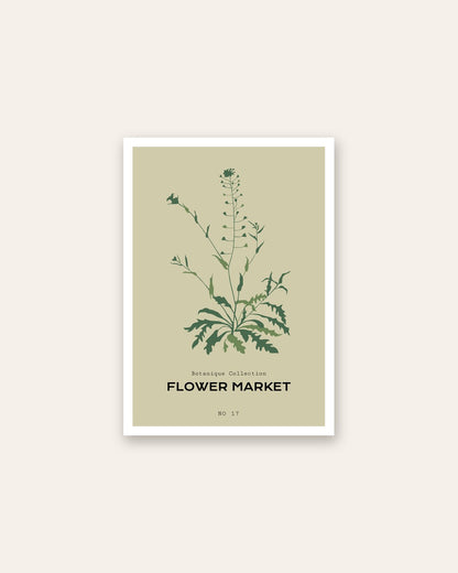 SENT Studio - Botanical Poster No. 8