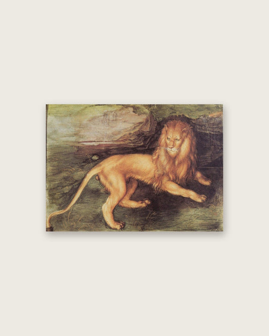 Albrecht Dürer - The Lion