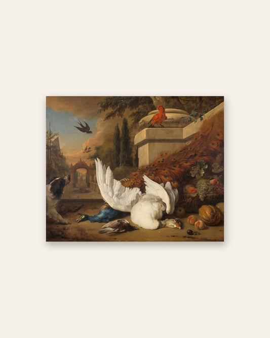 Jan Weenix - Swan and Peacock in a Park