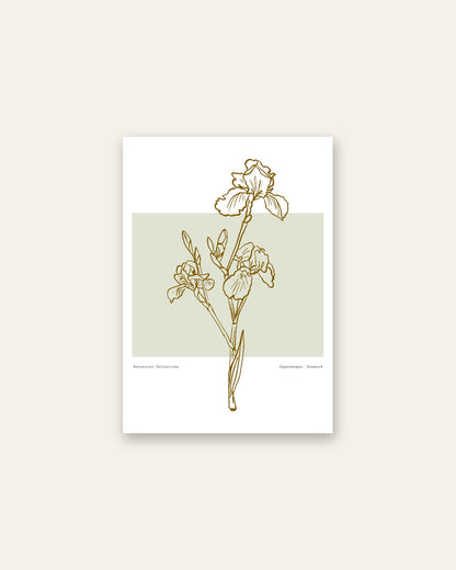 SENT Studio - Blooming Flowers Poster No. 54