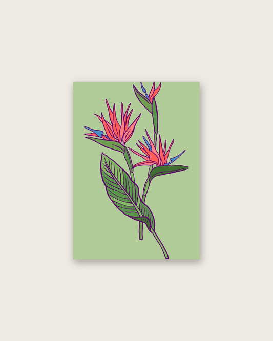 SENT Studio - Flower Poster No. 21