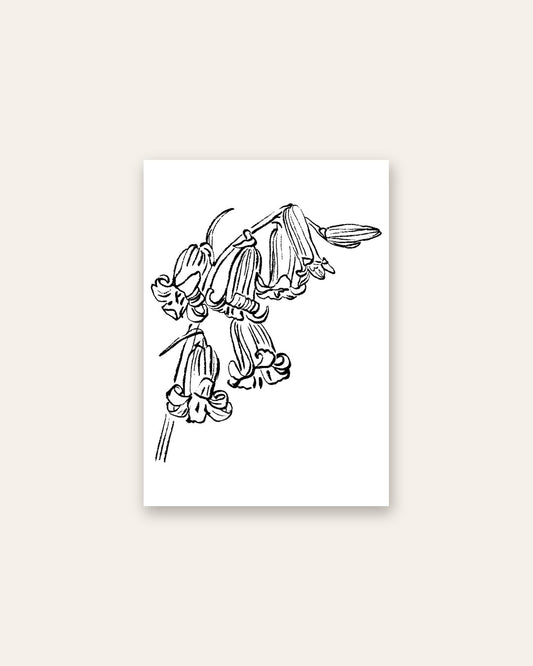SENT Studio - Blooming Flowers Poster No. 34
