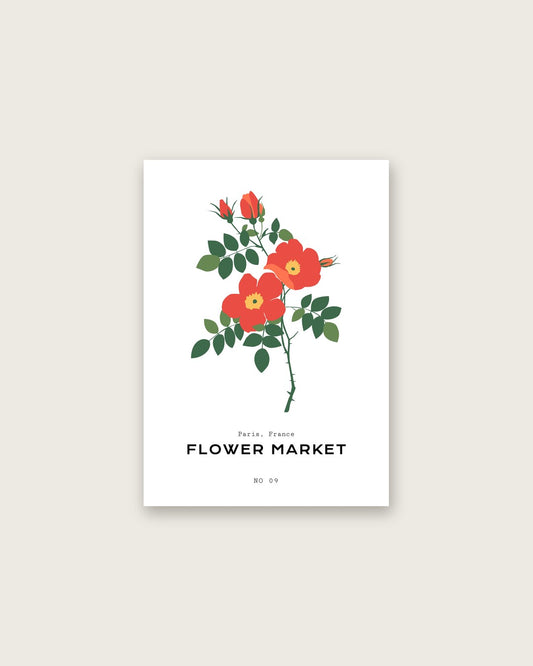 SENT Studio - Botanical Poster No. 62