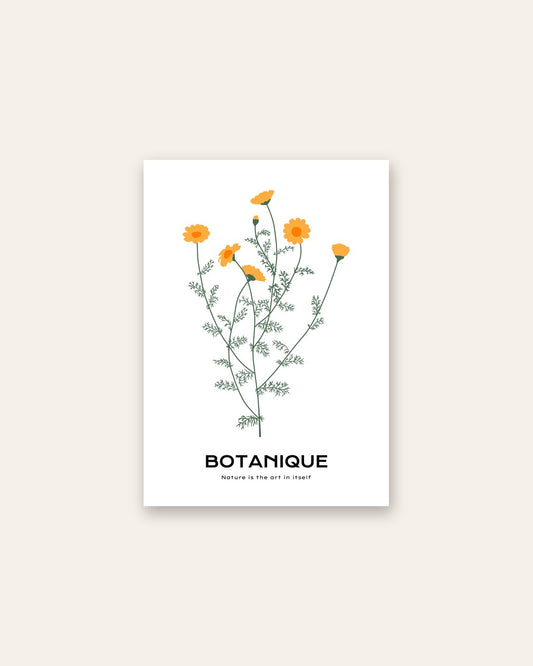 SENT Studio - Botanical Poster No. 20