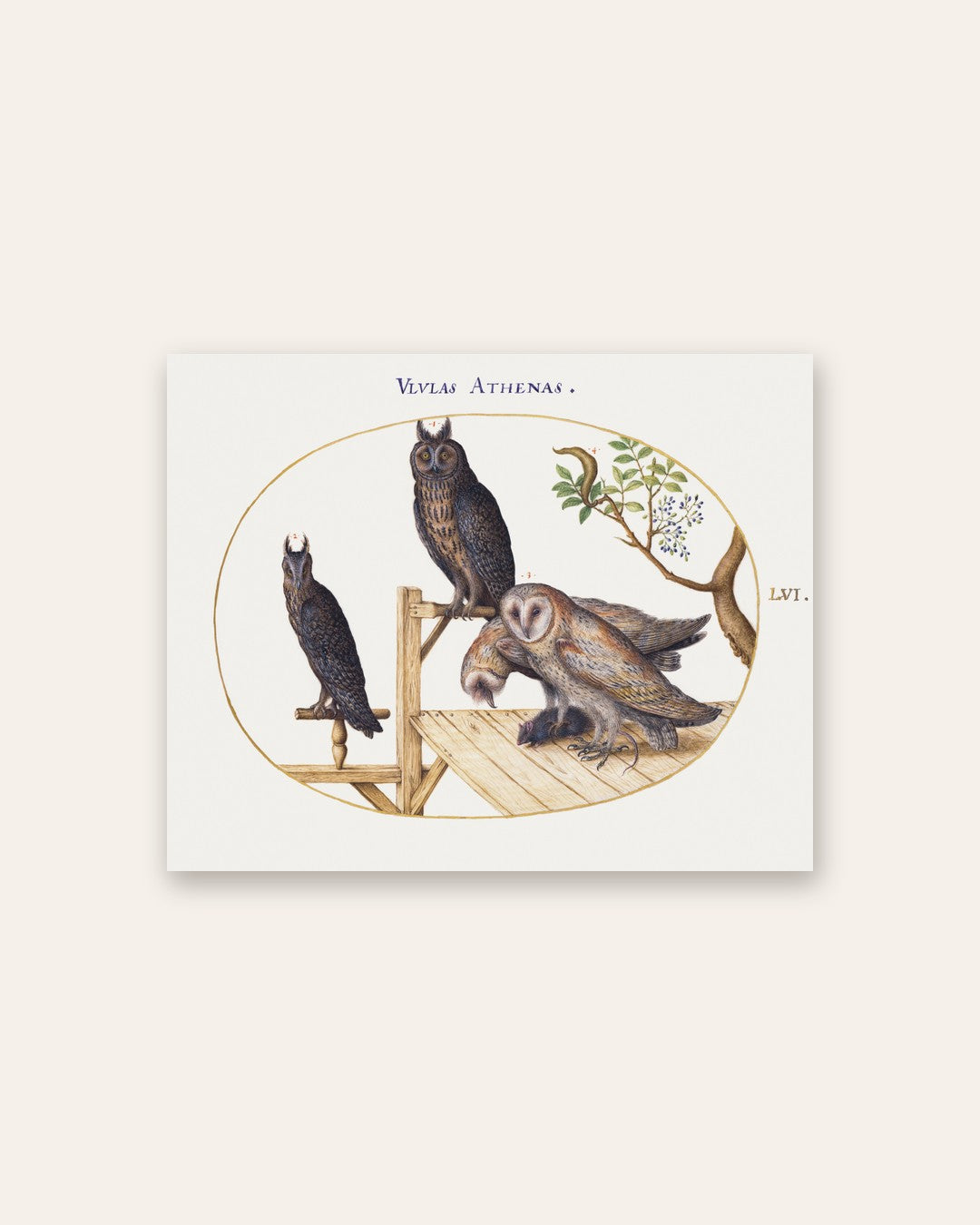 Renaissance Masters - Renaissance Masterpiece No. 348