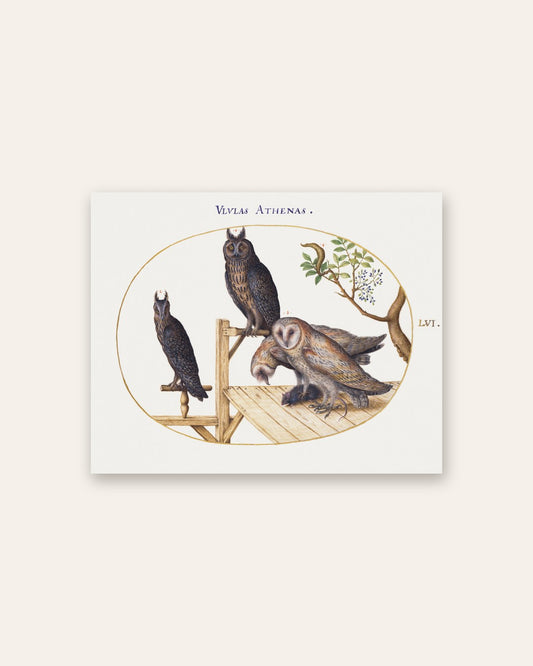 Renaissance Masters - Renaissance Masterpiece No. 348