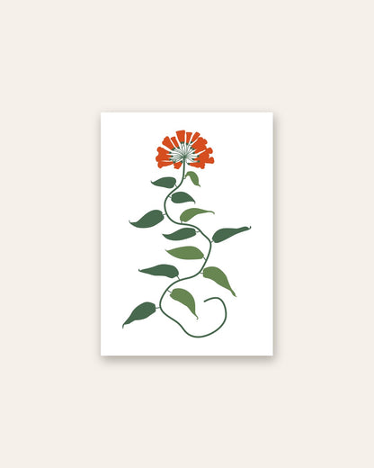 SENT Studio - Botanical Poster No. 51