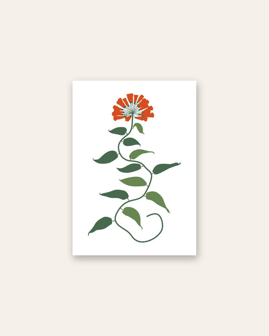 SENT Studio - Botanical Poster No. 51