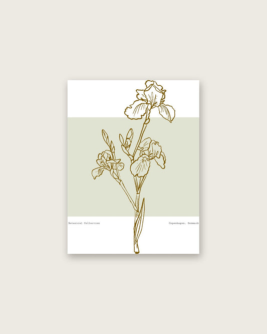 SENT Studio - Blooming Flowers Poster No. 54