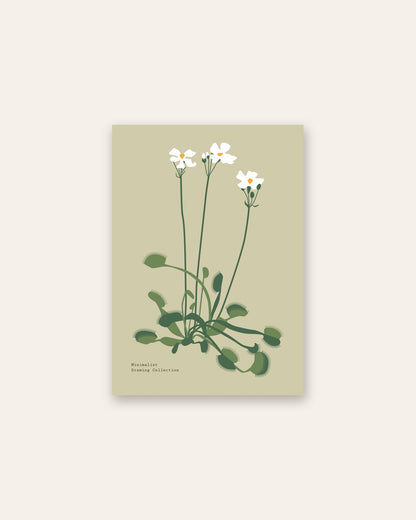 SENT Studio - Botanical Poster No. 45