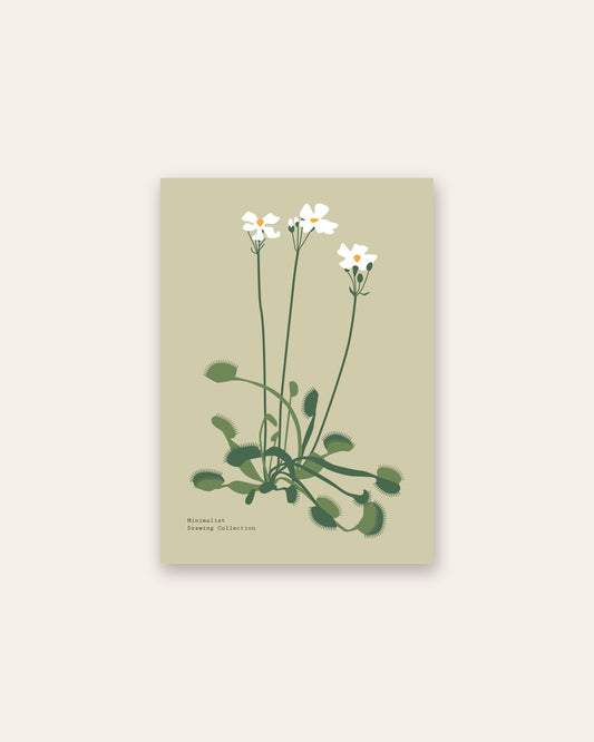 SENT Studio - Botanical Poster No. 45