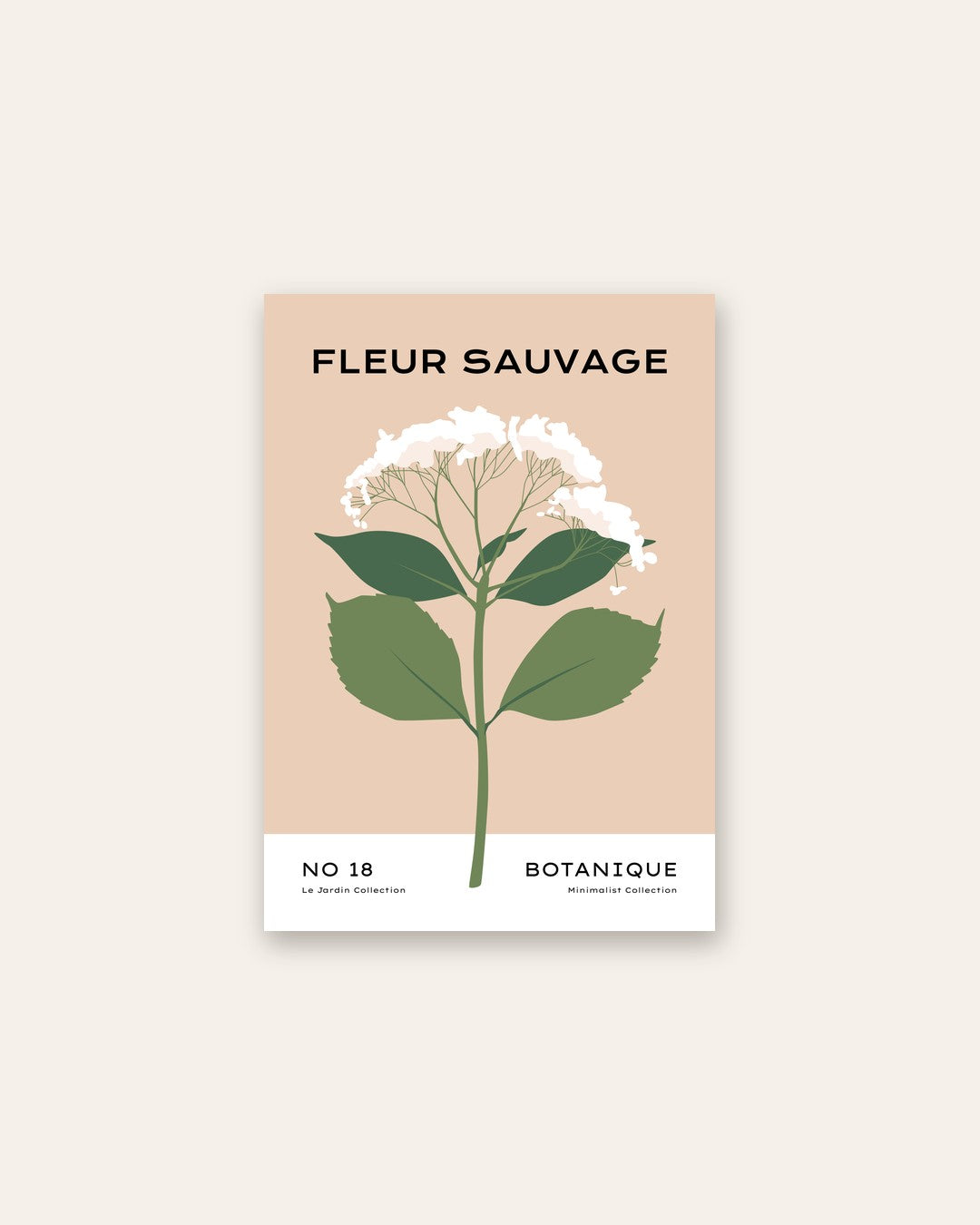 SENT Studio - Botanical Poster No. 36