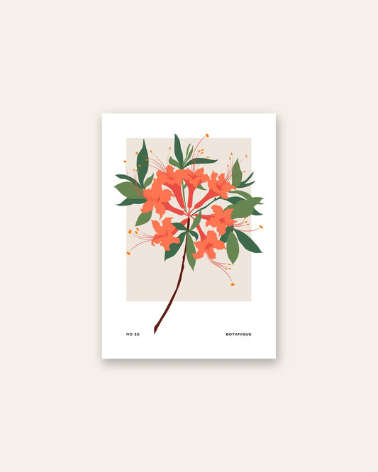 SENT Studio - Botanical Poster No. 52