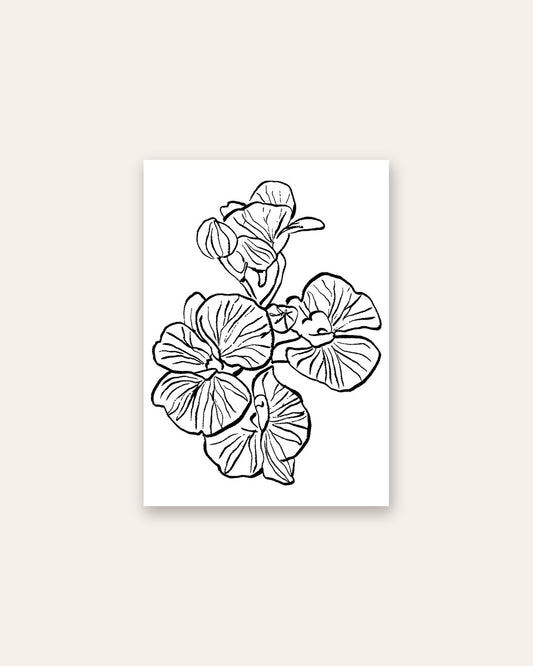 SENT Studio - Blooming Flowers Poster No. 8