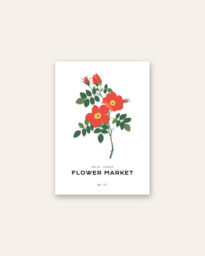 SENT Studio - Botanical Poster No. 62