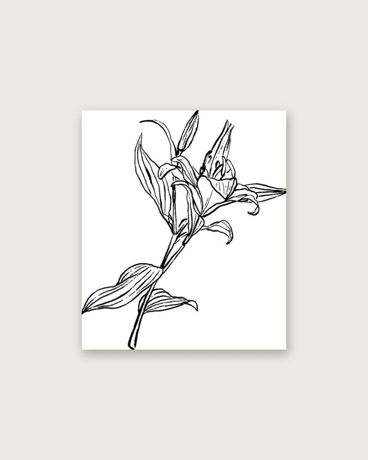 SENT Studio - Blooming Flowers Poster No. 13