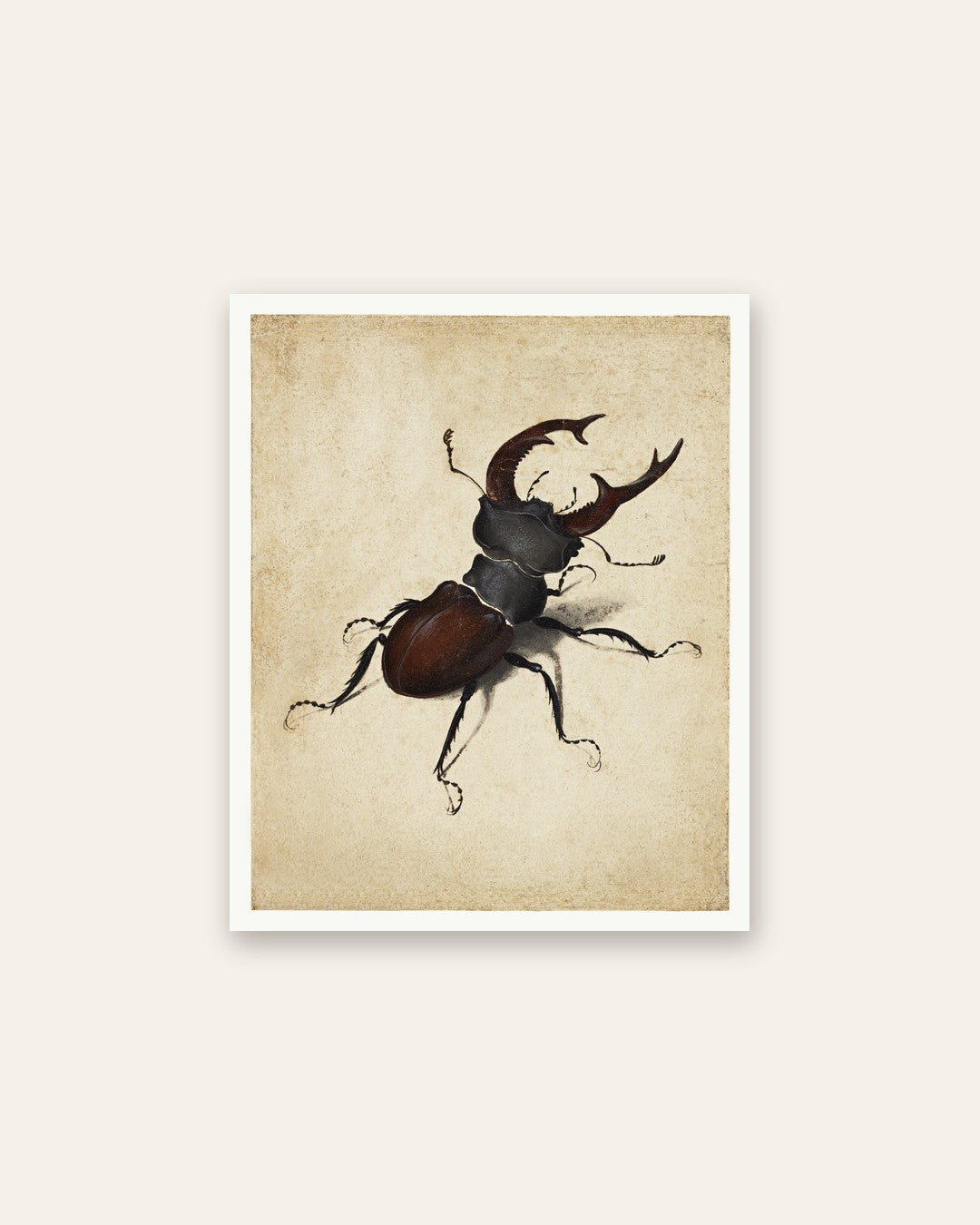 Renaissance Masters - Renaissance Masterpiece No. 212
