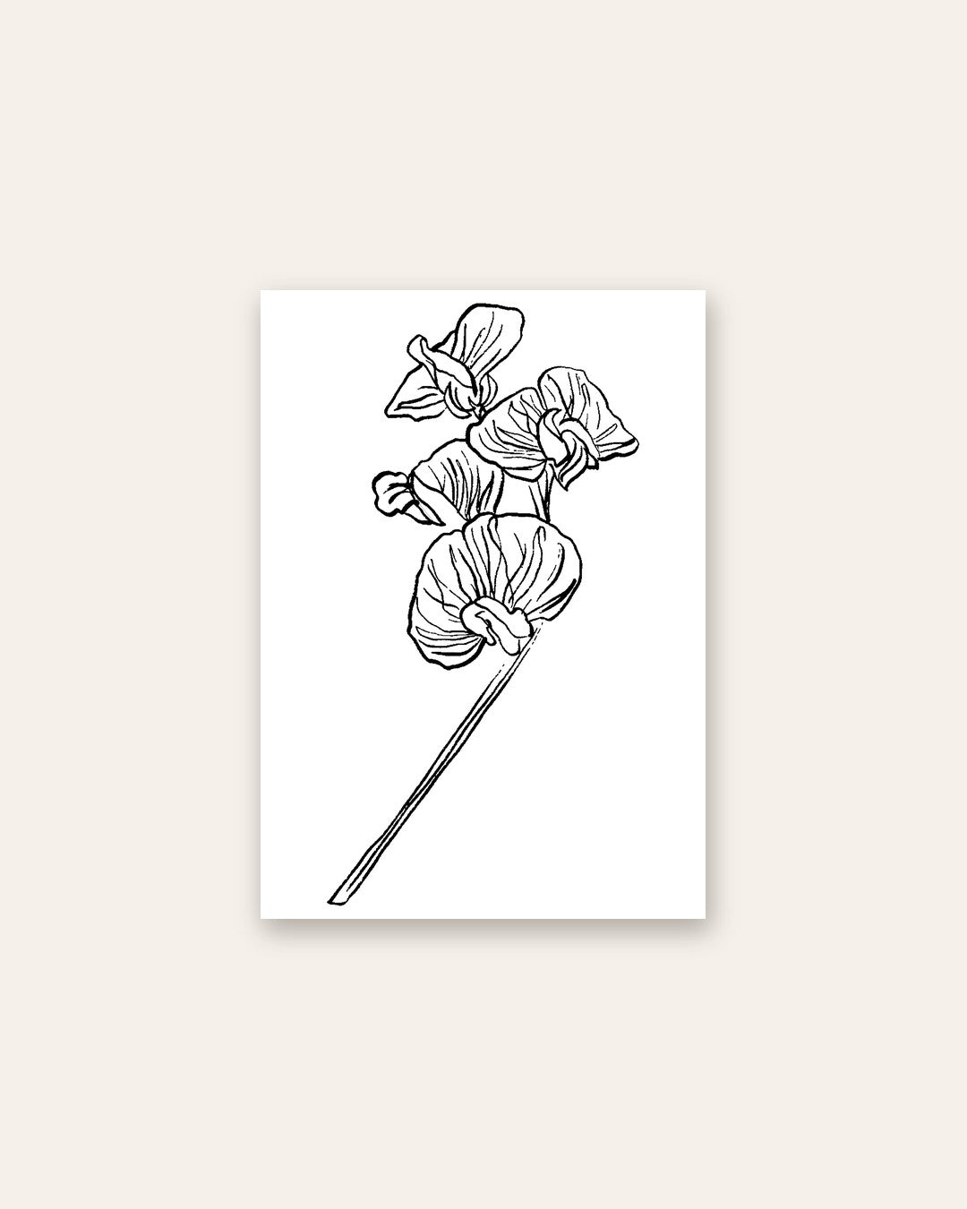 SENT Studio - Blooming Flowers Poster No. 27
