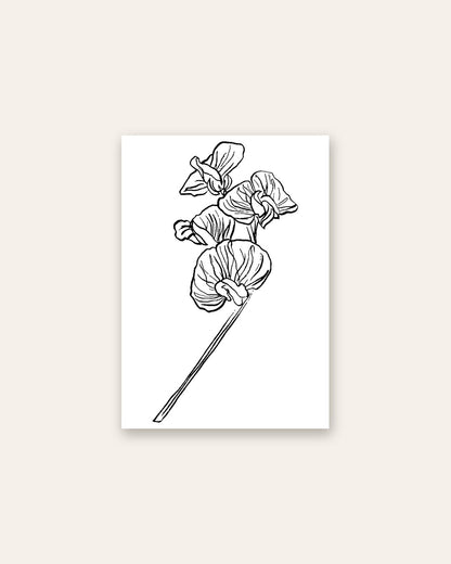 SENT Studio - Blooming Flowers Poster No. 27