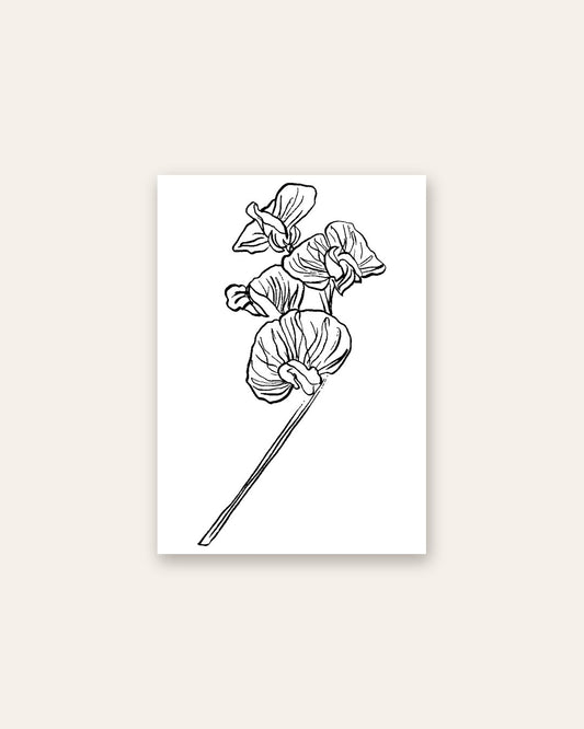 SENT Studio - Blooming Flowers Poster No. 27