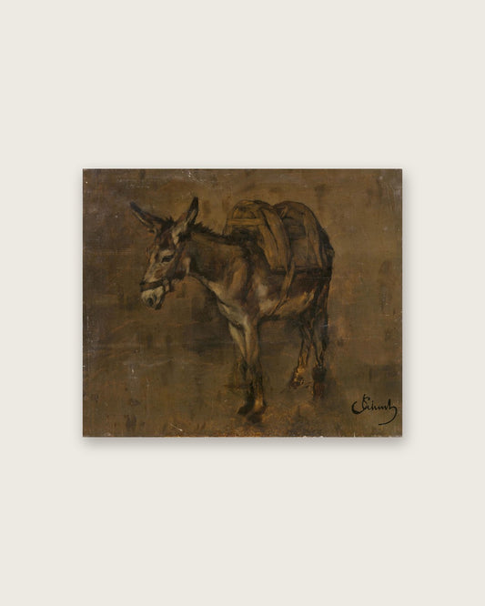 Carl Schuch - Donkey