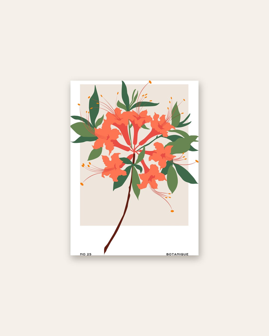 SENT Studio - Botanical Poster No. 52