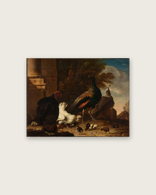 Melchior d'Hondecoeter - Peacock and Poultry