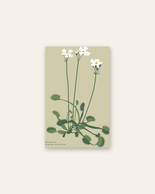 SENT Studio - Botanical Poster No. 45