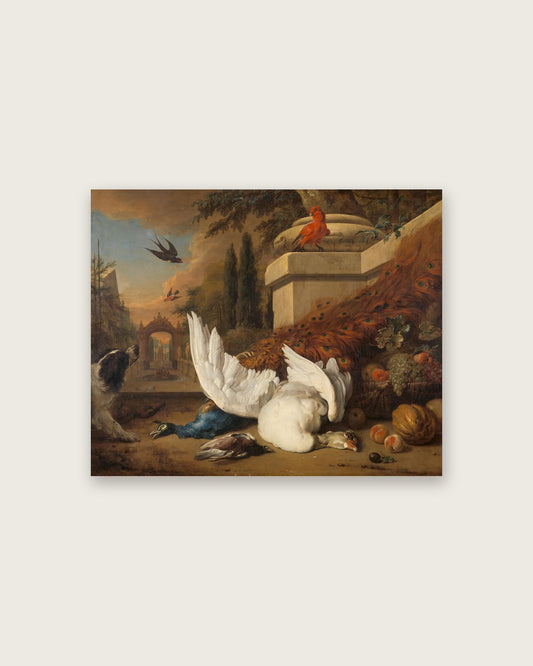 Jan Weenix - Swan and Peacock in a Park