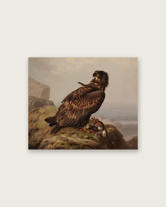 Ferdinand von Wright - Young Eagle on a Cliff