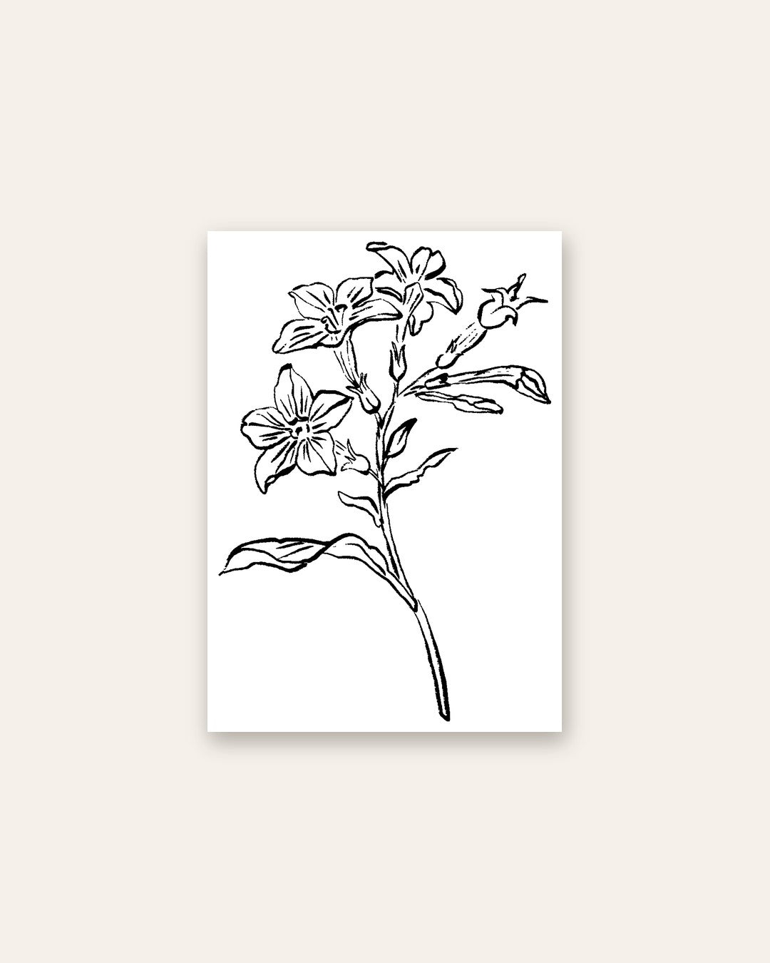 SENT Studio - Blooming Flowers Poster No. 20