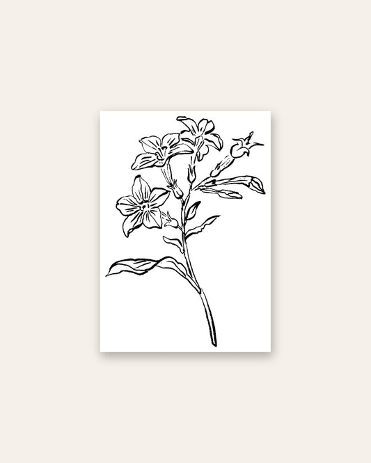 SENT Studio - Blooming Flowers Poster No. 20