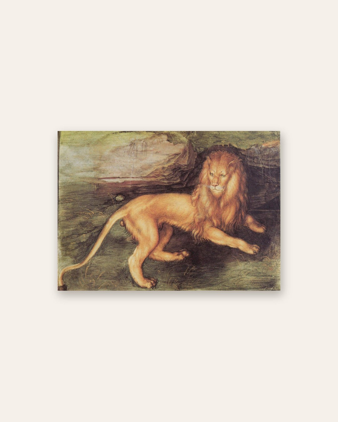 Albrecht Dürer - The Lion