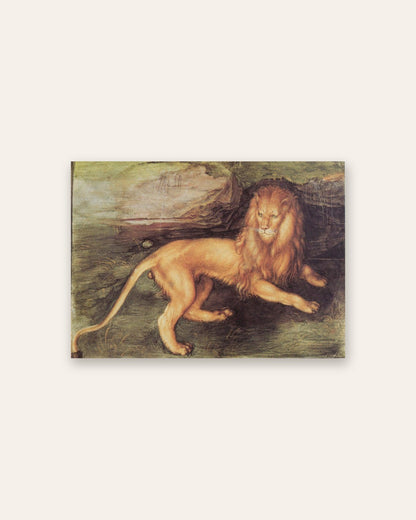 Albrecht Dürer - The Lion