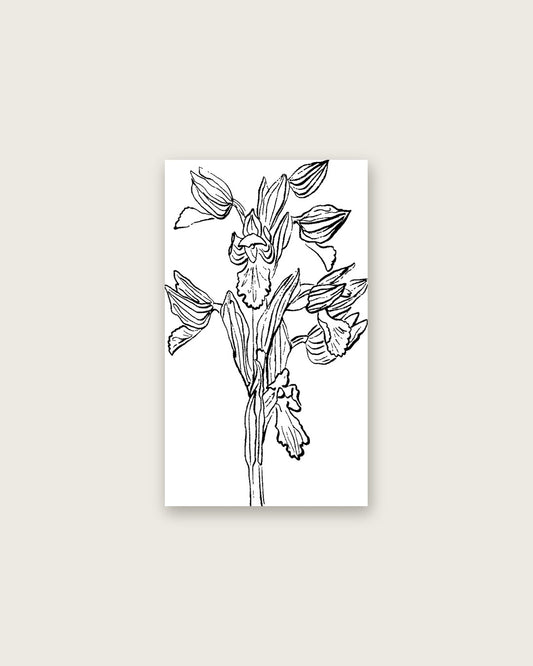 SENT Studio - Blooming Flowers Poster No. 25