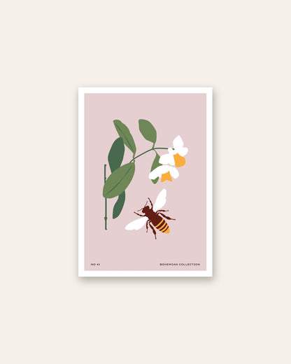 SENT Studio - Botanical Poster No. 38