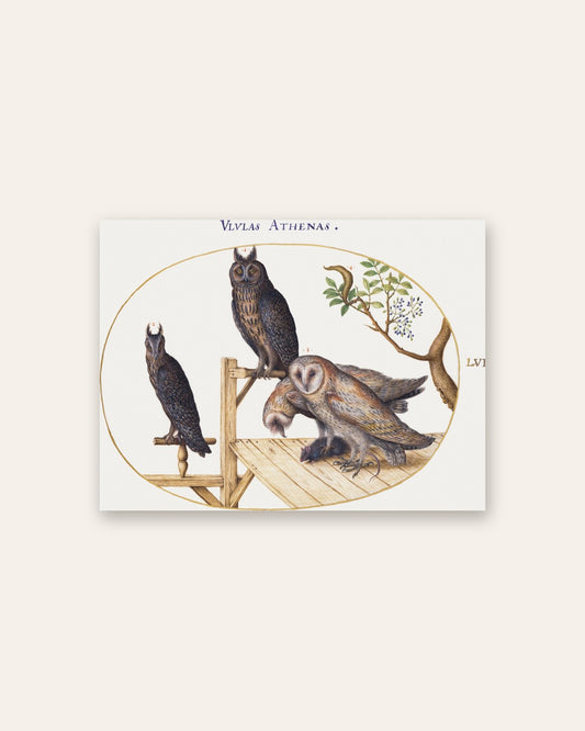 Renaissance Masters - Renaissance Masterpiece No. 348