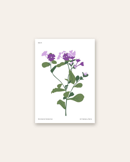 SENT Studio - Botanical Poster No. 17