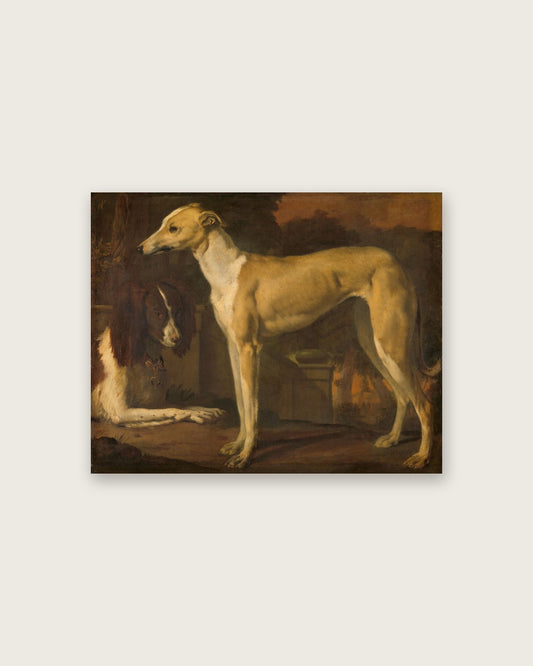 Jan Weenix - Whippet and Spaniel