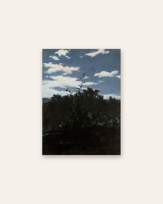 Witold Pruszkowski - Sky over the Thicket