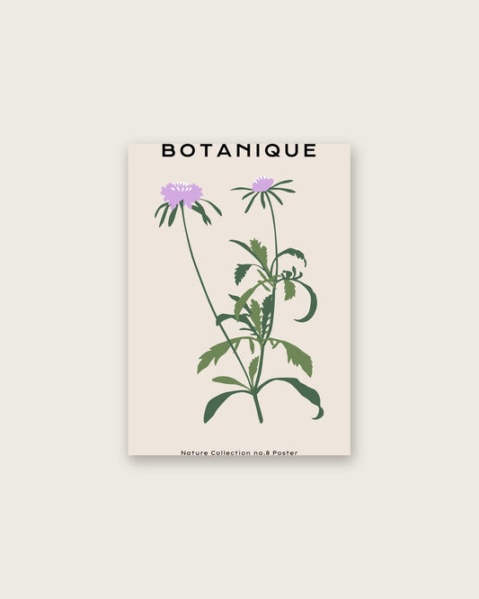 SENT Studio - Botanical Poster No. 53