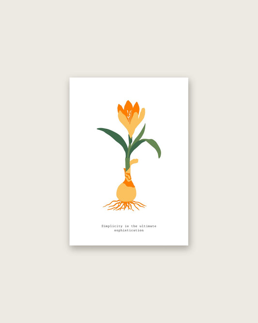 SENT Studio - Botanical Poster No. 14