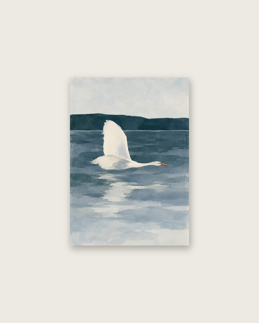 Cengiz Curtis - Low Flying Egret over Still Waters