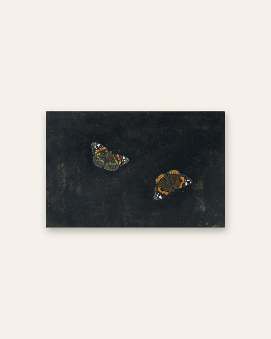 Giovanna Garzoni - Red Admiral Butterflies