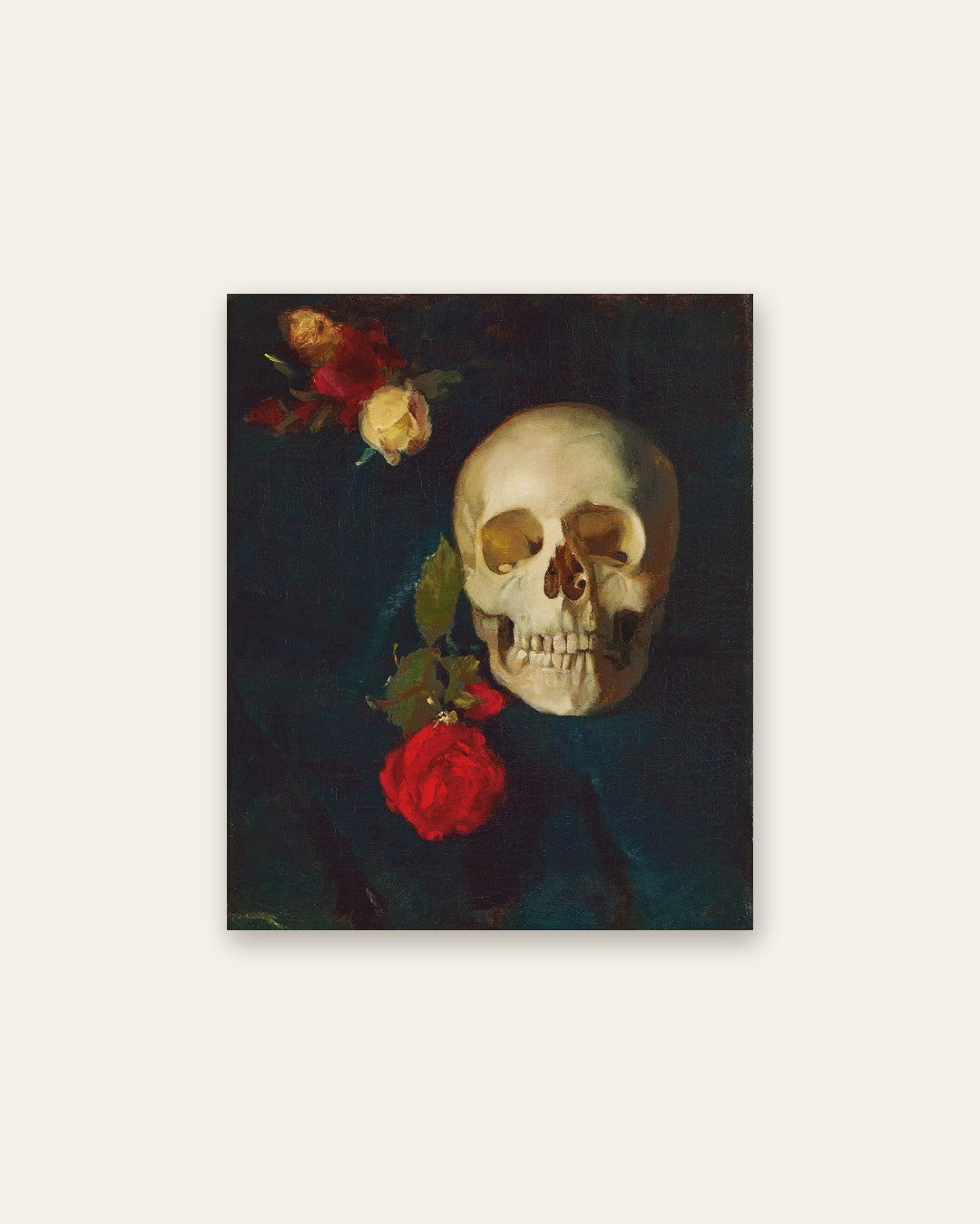 Carl Schuch - Skull and Roses
