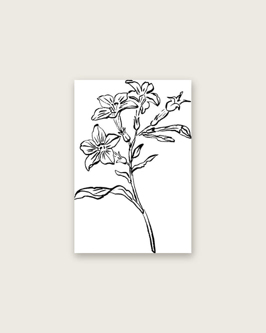 SENT Studio - Blooming Flowers Poster No. 20