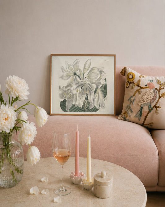 Sydenham Edwards - The Botanical Magazine or Flower Garden Displayed:  White Cape - Coast Lily - framed print in a styled room